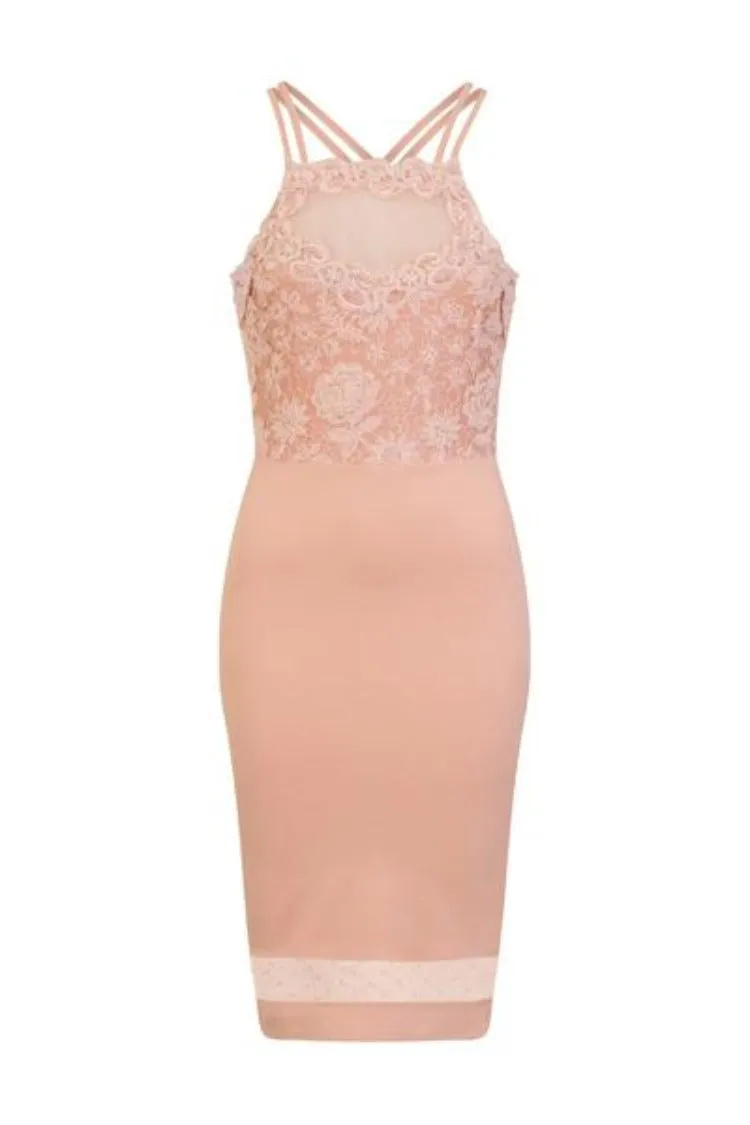 Elegant Kara Nude Floral Lace Bodice Mesh Bodycon Midi Dress for Special Occasions